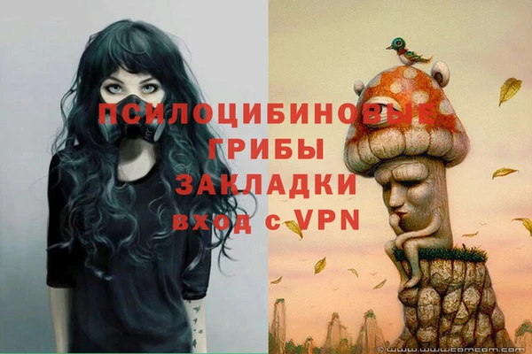 мяу мяу кристалл Богданович